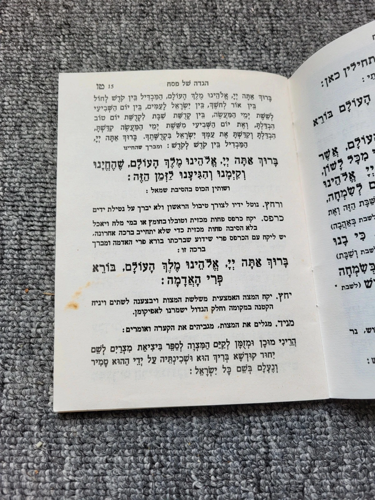 Libro de Haggada de Pésaj - Edición Nadjar - Judaica Ilustración Hebreo – photo 9